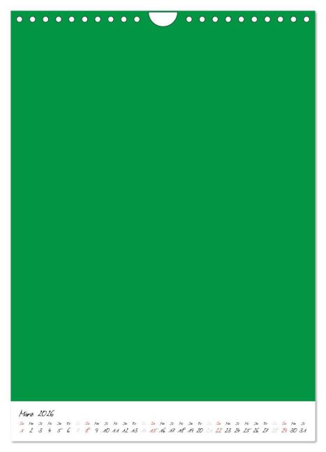 additionalImage8