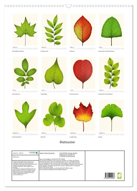additionalImage5