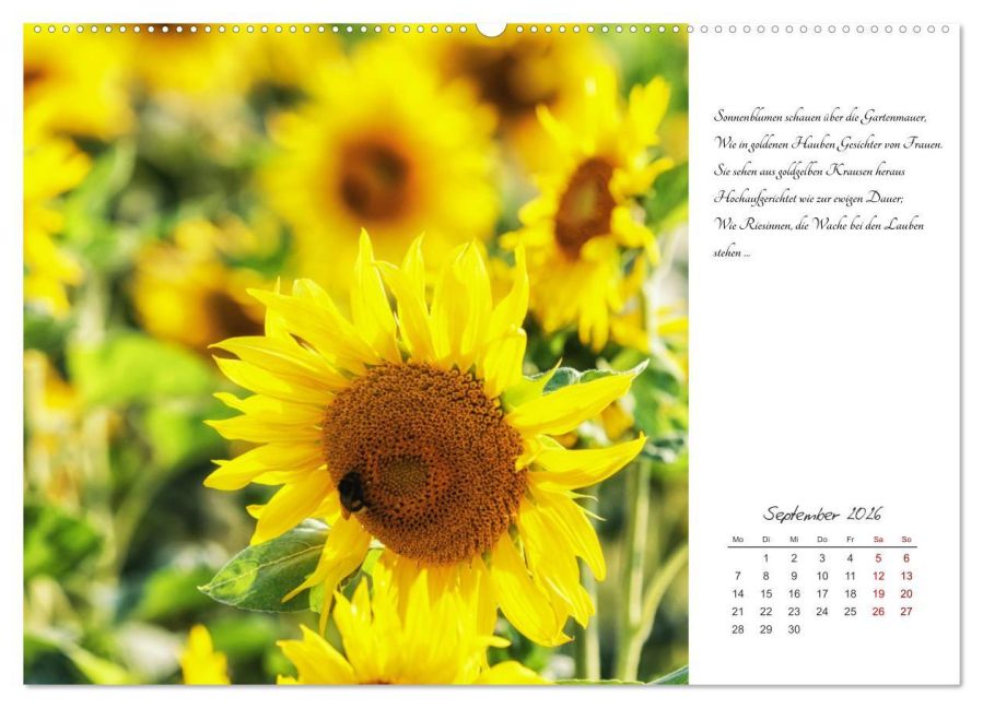 additionalImage14
