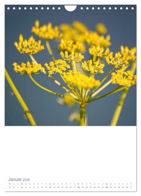 additionalImage6