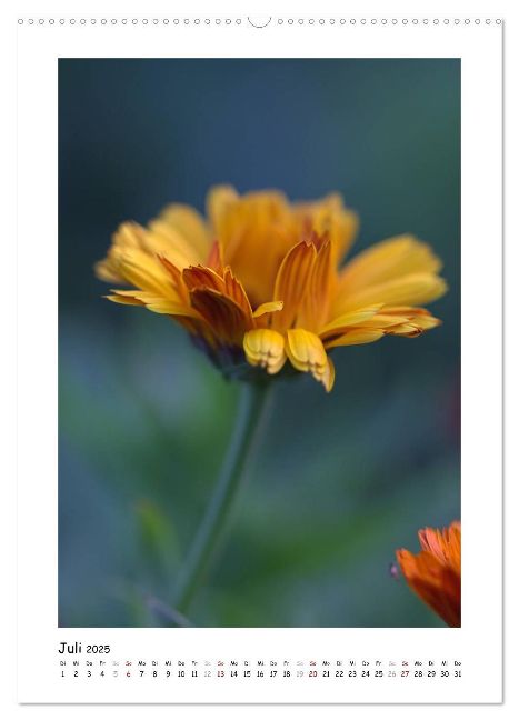 additionalImage12