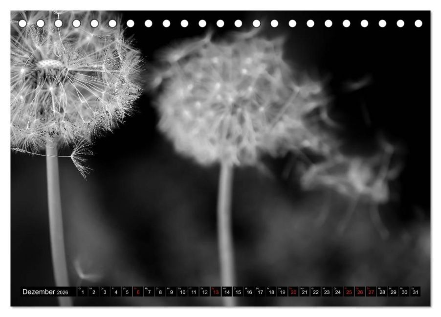additionalImage4