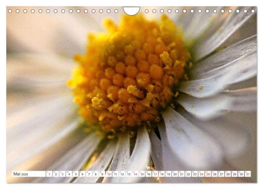 additionalImage10