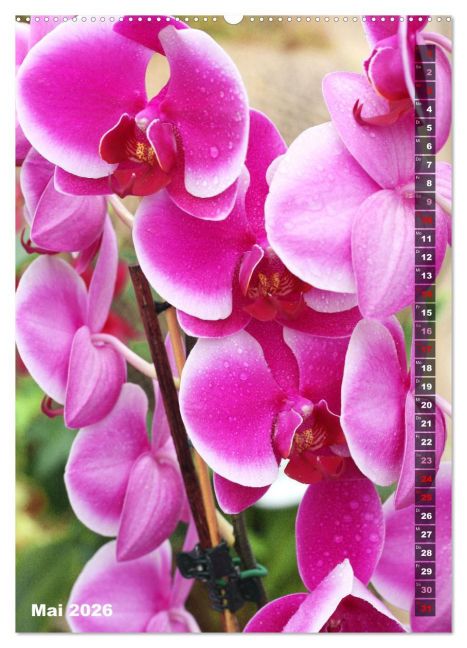 additionalImage10