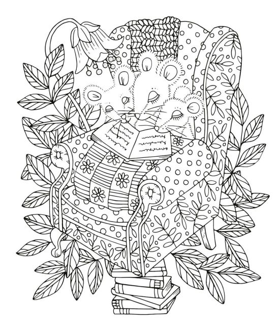 additionalImage4