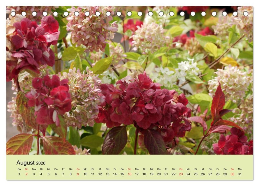 additionalImage13