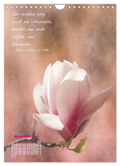 additionalImage3