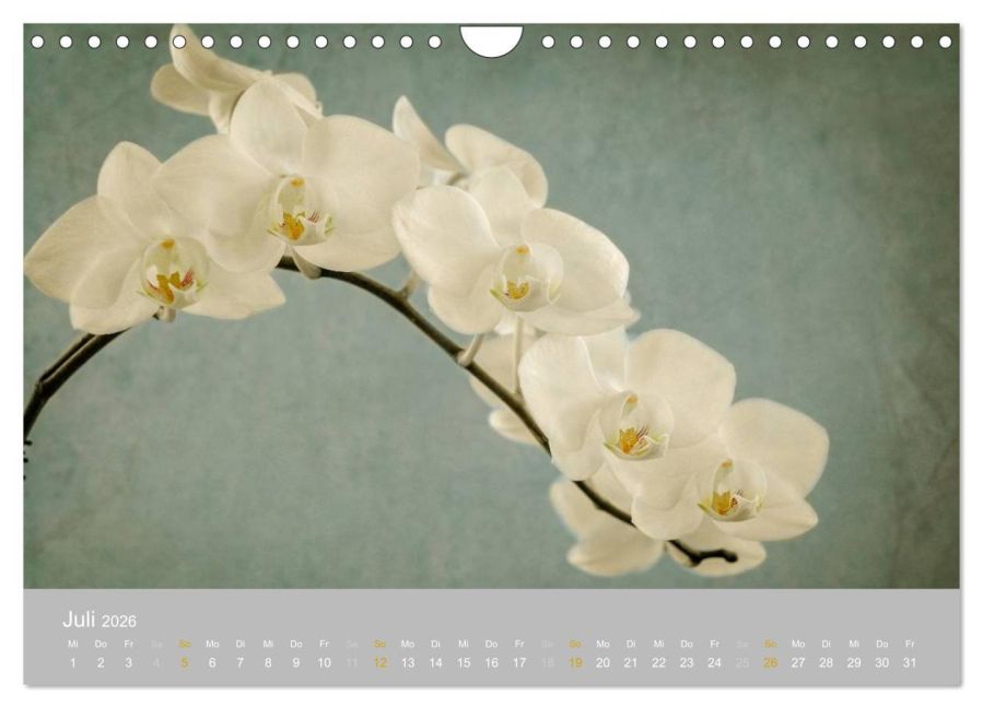 additionalImage12