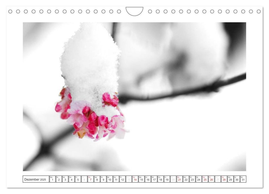 additionalImage4