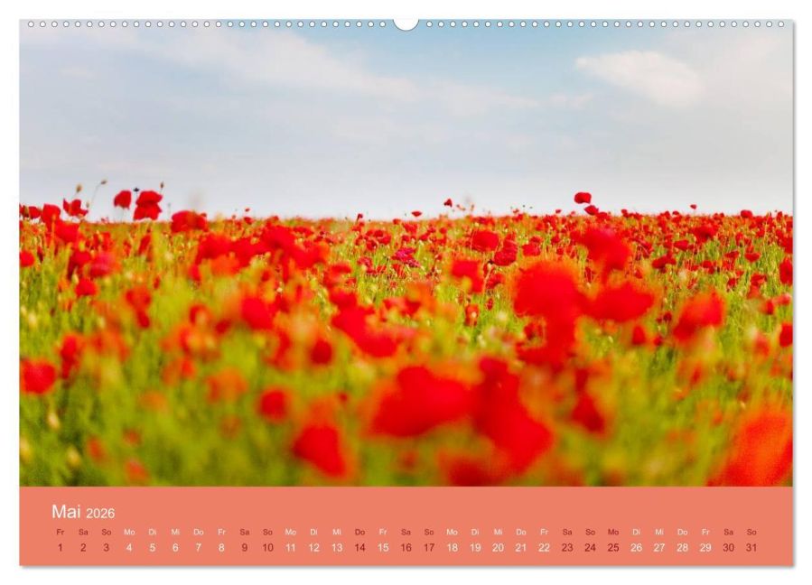 additionalImage10