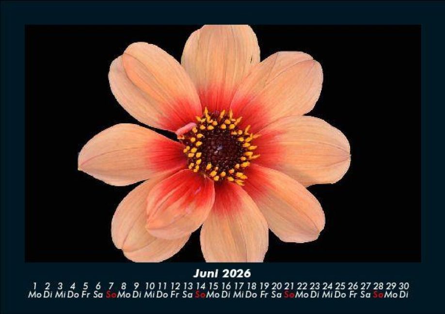 additionalImage10