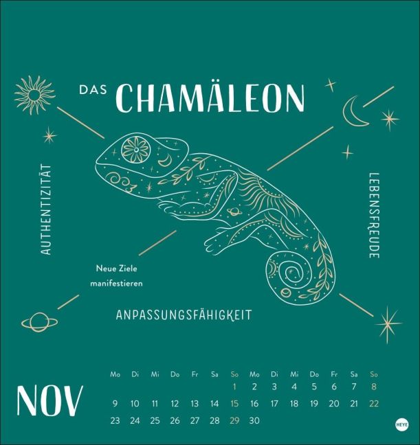 additionalImage11