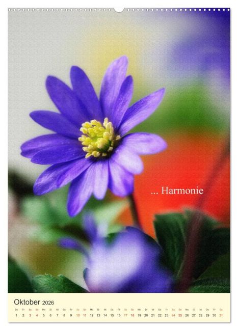 additionalImage1