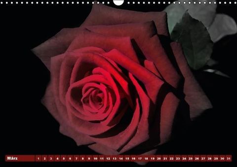 additionalImage3