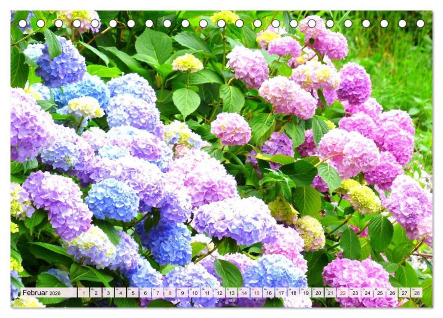 additionalImage7
