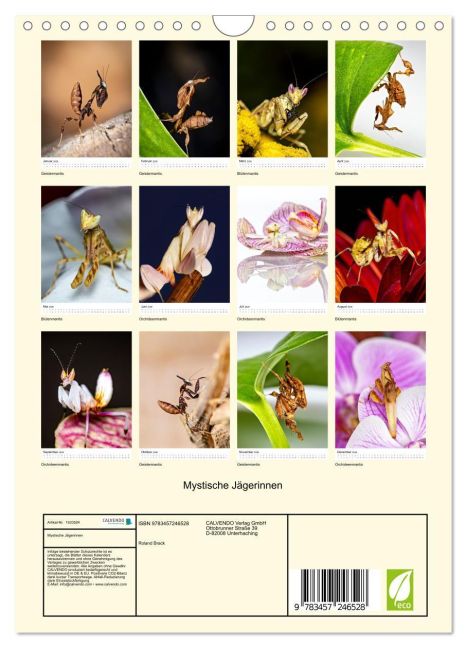 additionalImage5