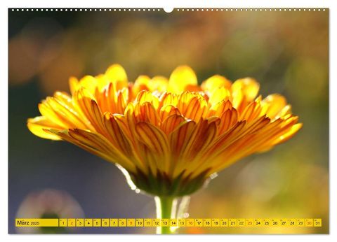 additionalImage8