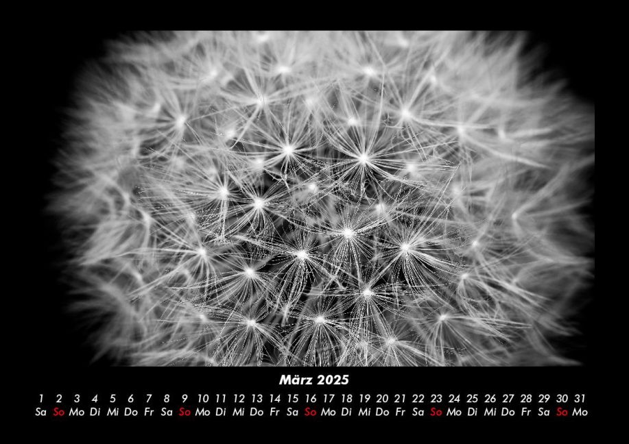additionalImage7