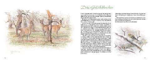 additionalImage3