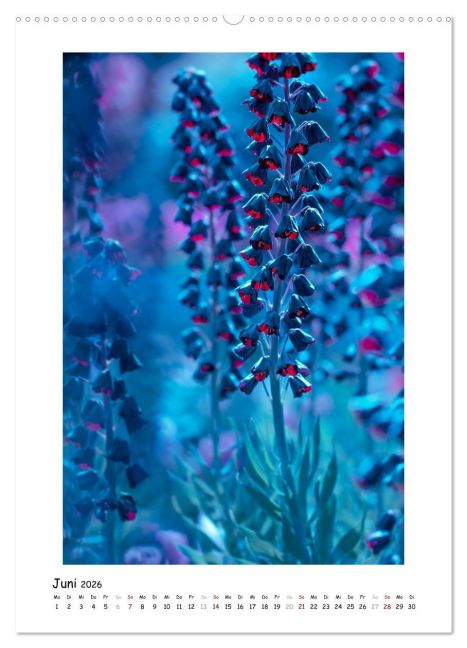 additionalImage11