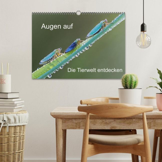 additionalImage1