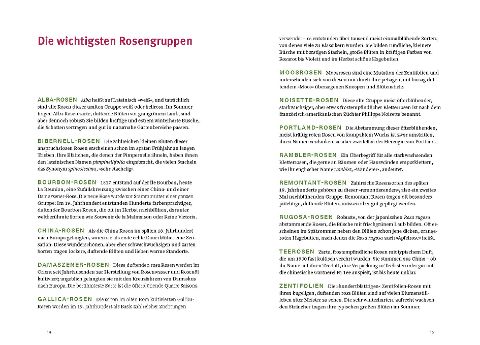additionalImage2