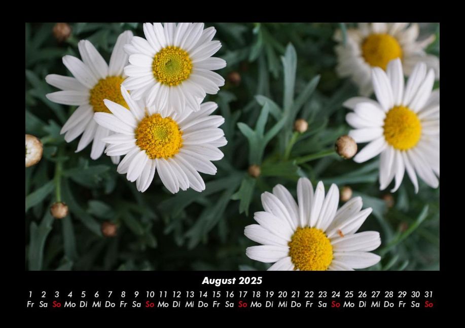 additionalImage12