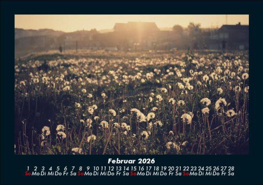 additionalImage6