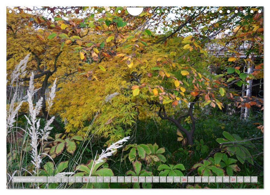additionalImage14