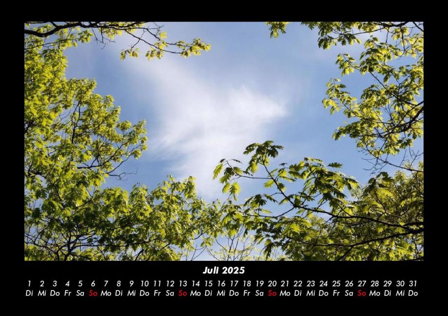 additionalImage11