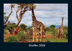 Cover-Bild zum Titel 'Giraffen 2026 Fotokalender DIN A4' von 'Tobias Becker'