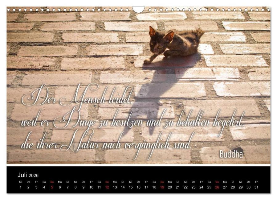 additionalImage12