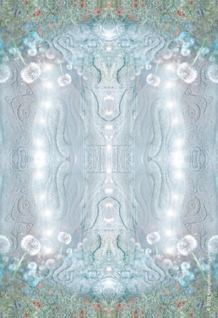 additionalImage8