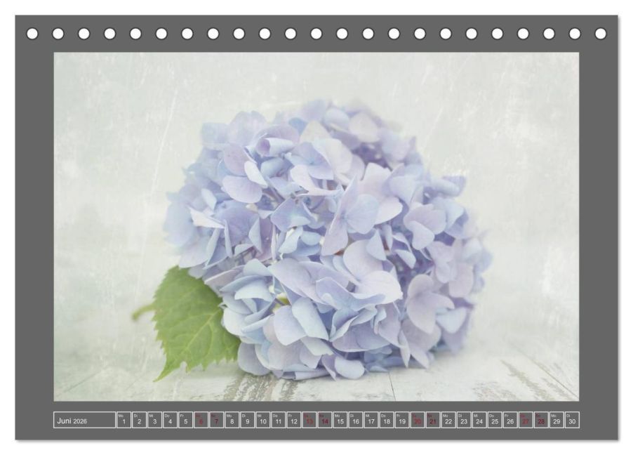 additionalImage11