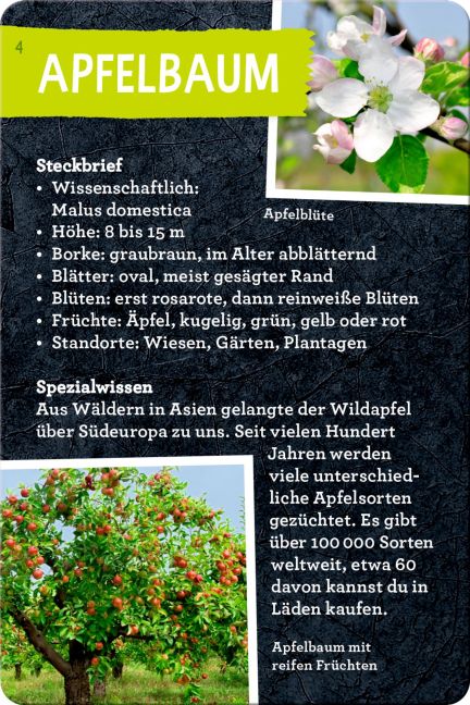 additionalImage1