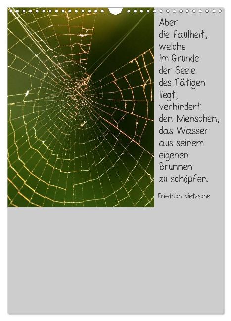additionalImage14