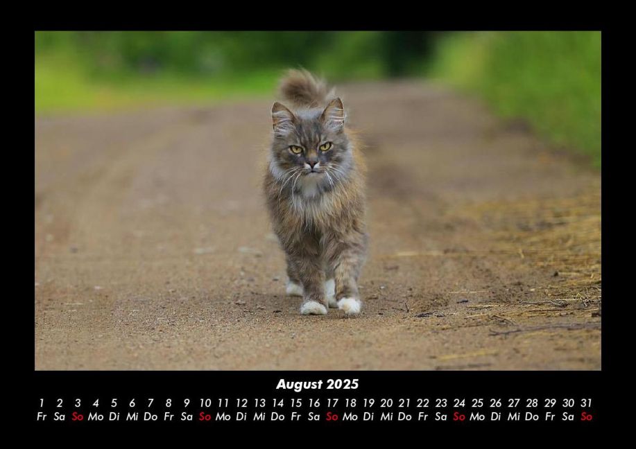additionalImage12