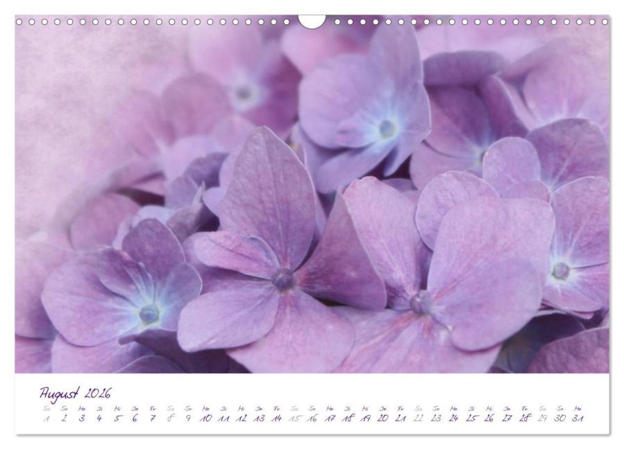 additionalImage13