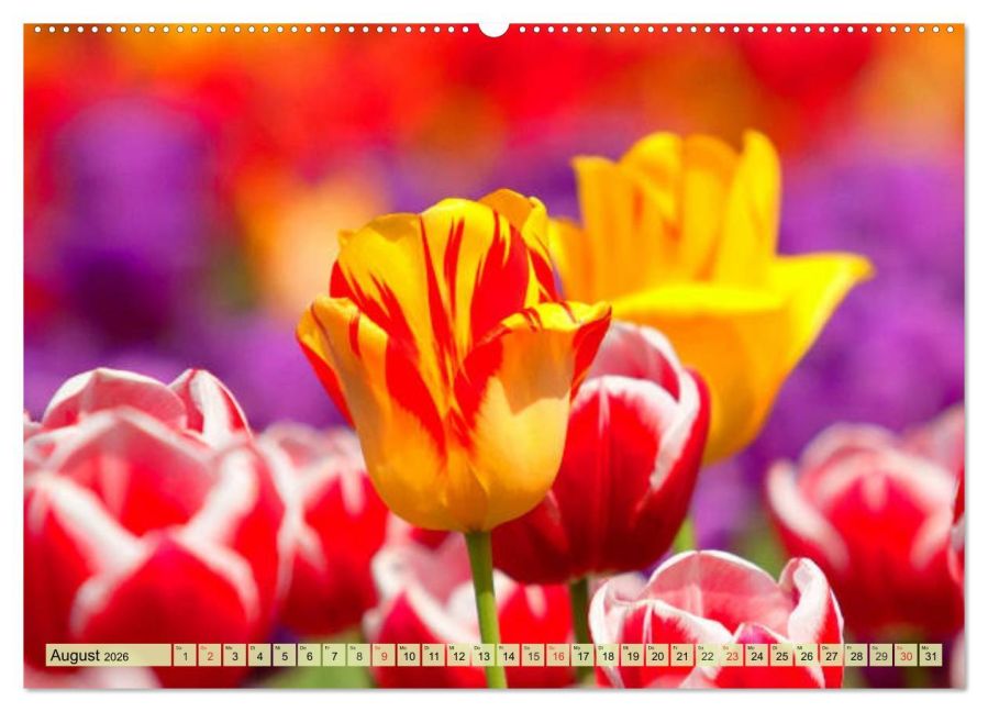 additionalImage12