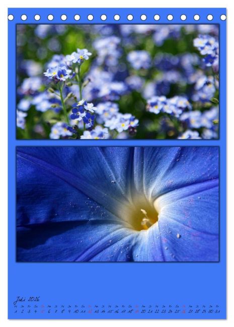 additionalImage12