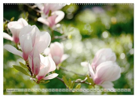 additionalImage12