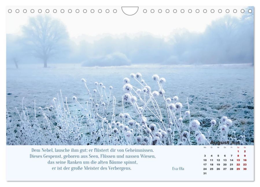 additionalImage13