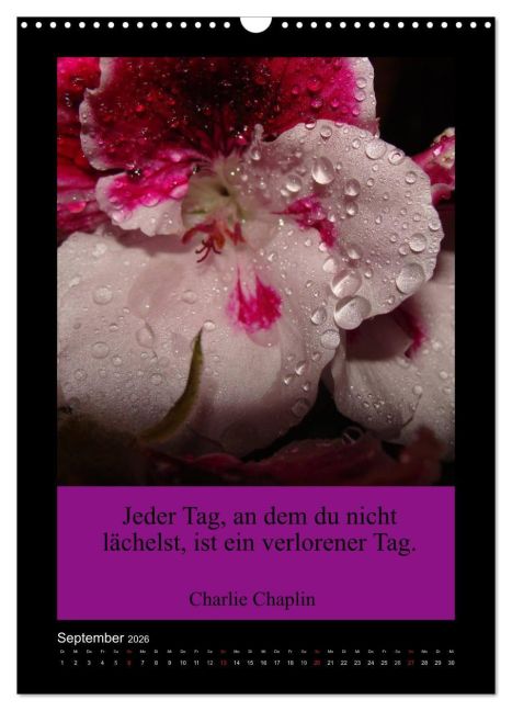 additionalImage14