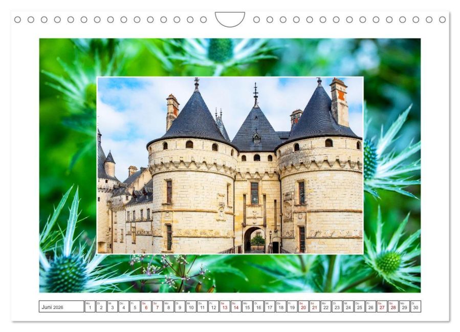 additionalImage11