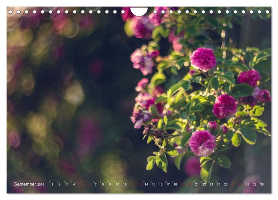 additionalImage14