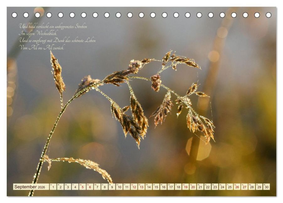 additionalImage14