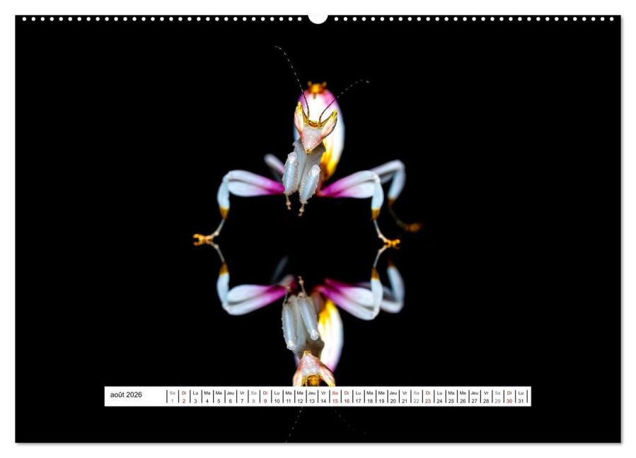 additionalImage12