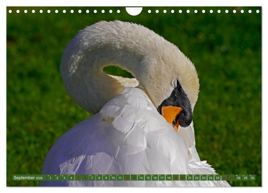 additionalImage14