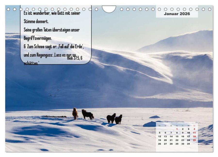 additionalImage6