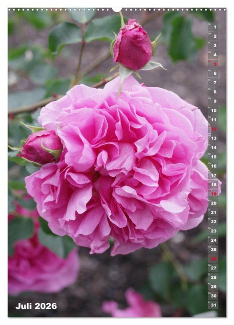 additionalImage12